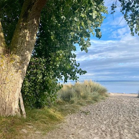 Feriendorf Suedstrand Haus 46 Pelzerhaken Eksteriør billede